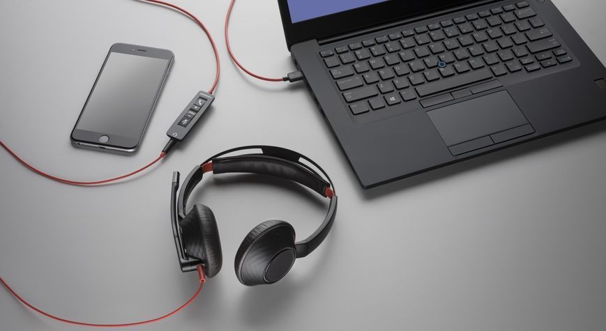 Poly Blackwire C5220 (8X231AA) &mdash; Гарнітура дротова, 2 динаміка, USB-A + Jack 3.5 мм 24458631 фото